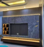 وحدات تلفزيون (12)