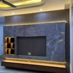 وحدات تلفزيون (12)