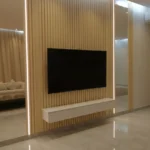 وحدات تلفزيون (17)
