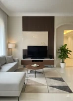 وحدات تلفزيون (2)