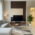وحدات تلفزيون (2)
