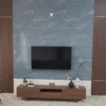 وحدات تلفزيون (1)