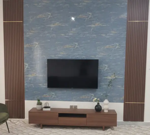 وحدات تلفزيون (1)