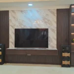 وحدات تلفزيون (15)