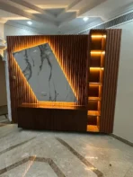 وحدات تلفزيون (14)