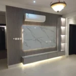 وحدات تلفزيون (13)